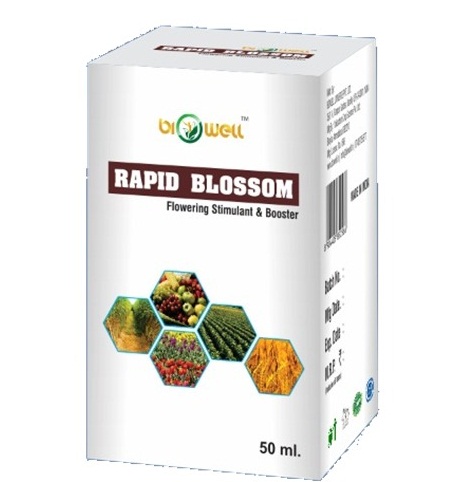 RAPID BLOSSOM